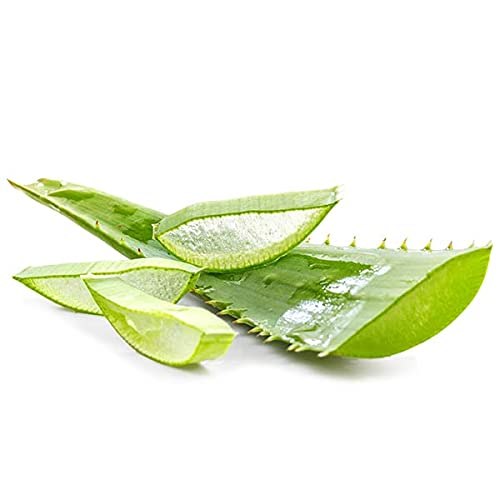 VELTOS Professional Aloe Vera Hydro Liposoluble Wax 800ML - Body Hair Removal Wax for Smooth Skin | At-Home & Salon Use for Legs, Arms, Bikini Area