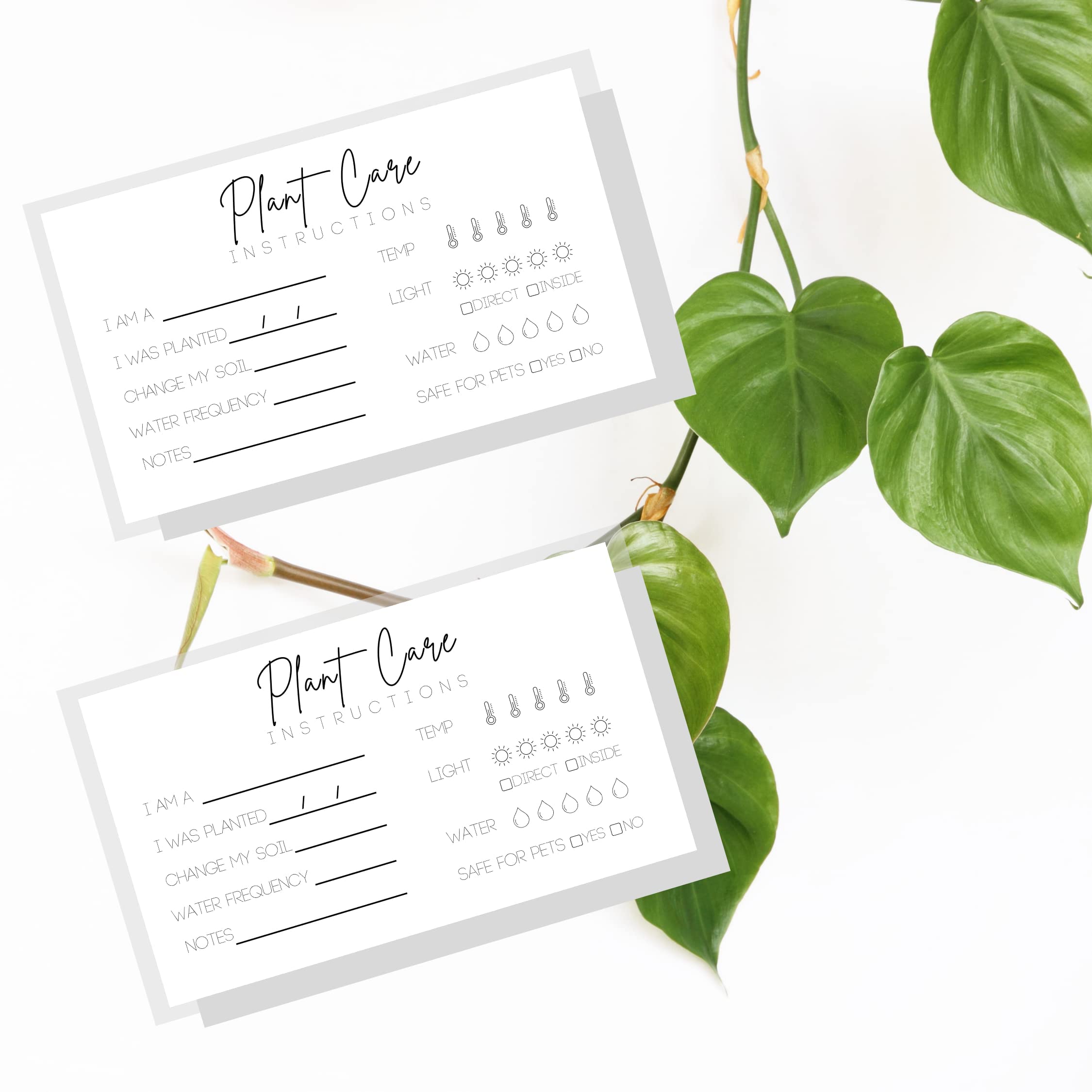Plant Care Cards - 2