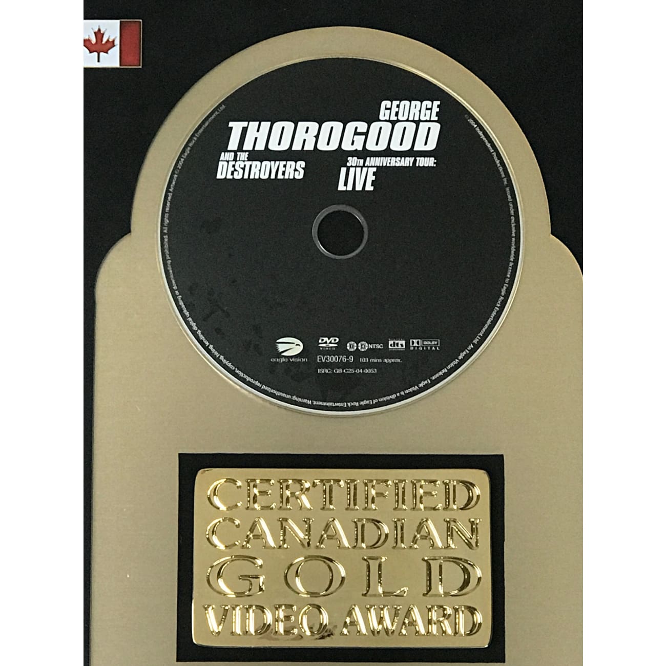 George Thorogood & The Destroyers Live in Europe Concert DVD - CRIA Gold Video Award Winner | Rock Music Performance for Home Entertainment & Gifts