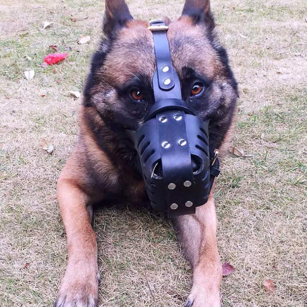 Genuine Leather Dog Muzzle for Pitbulls & Large Dogs - Adjustable Secure Basket Training Mask for Biting, Chewing & Barking Control | Perfect for Training, Walks & Public Safety
