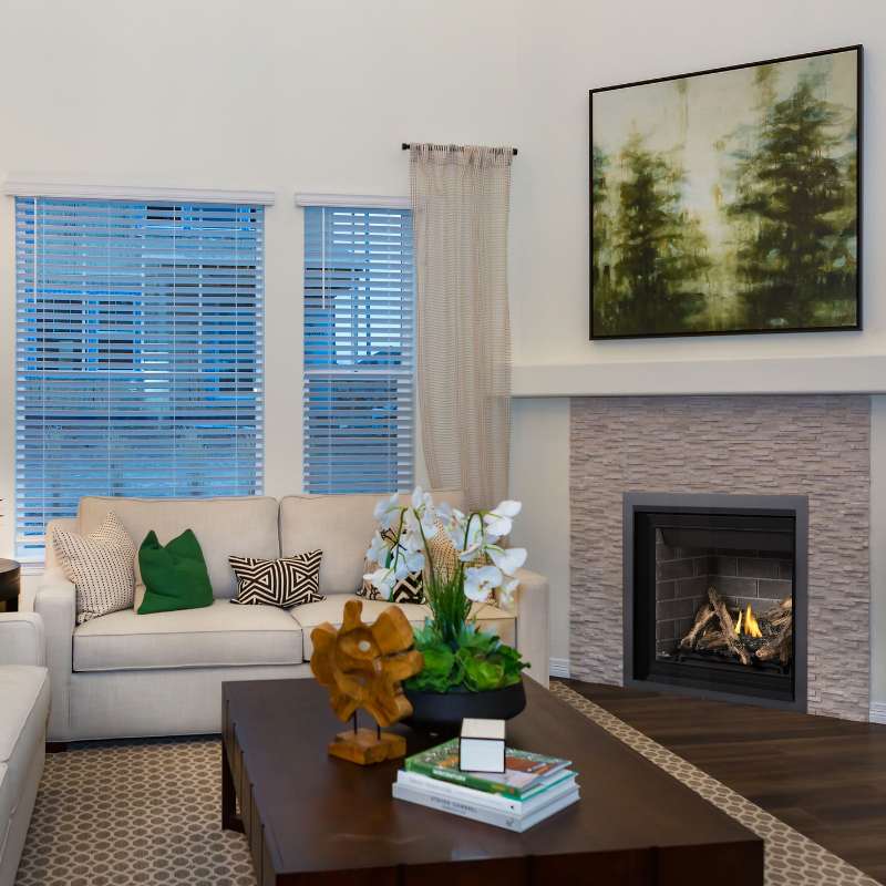 Napoleon Altitude 36 Inch Direct Vent Gas Fireplace - A36 Model | Indoor Heating Solution for Living Rooms & Patios