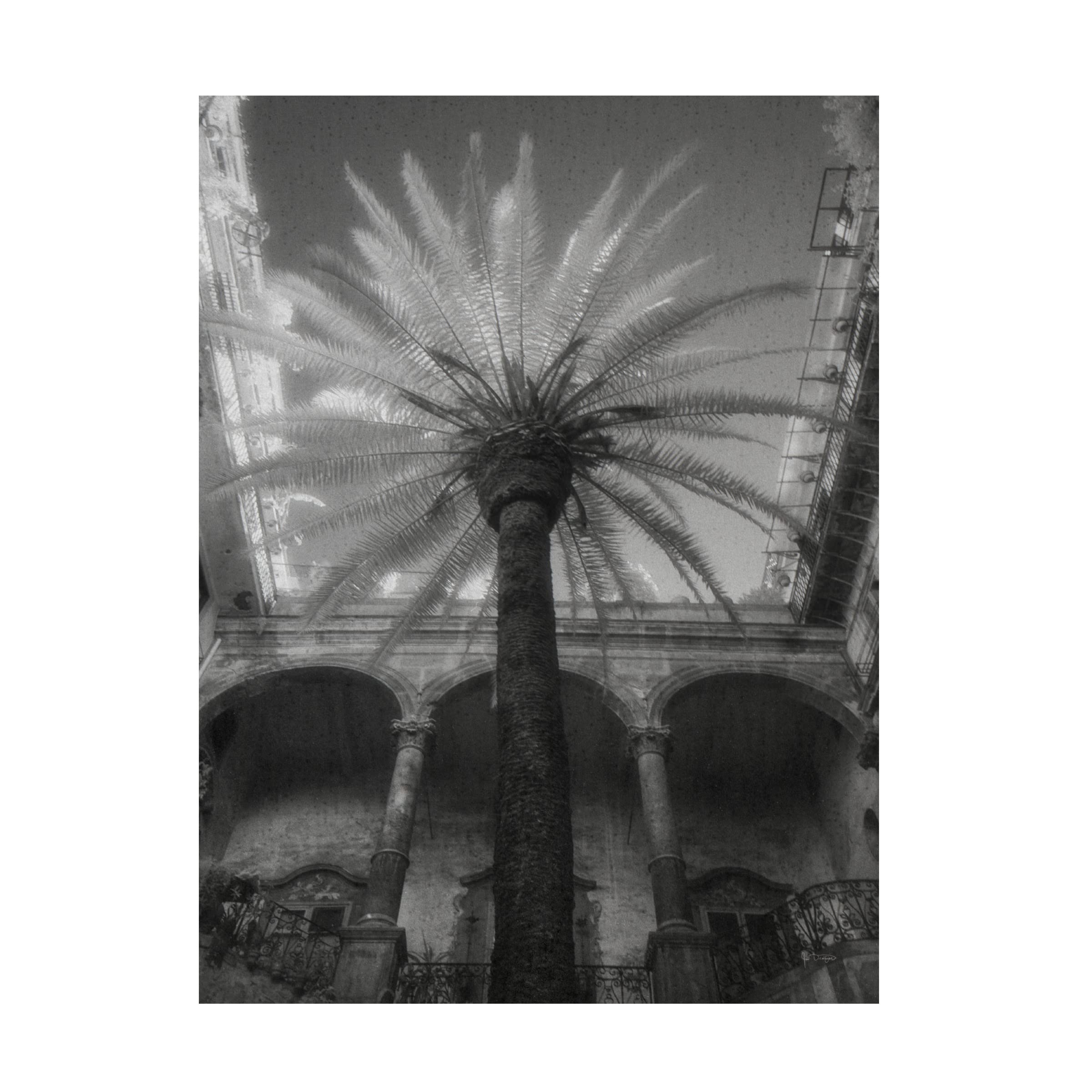 Jim Dratfield 'Palermo' Canvas Art Print - Premium Trademark Fine Art Wall Decor for Living Room, Bedroom & Office