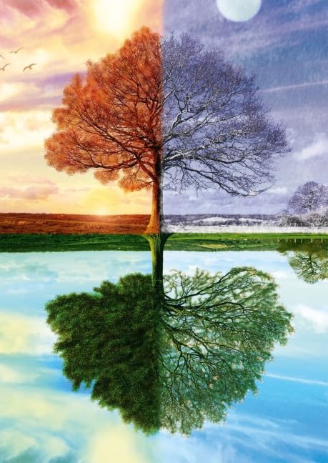 Schmidt The Seasons Tree Puzzle - 500 Piece Jigsaw Puzzle for Adults & Teens Ages 12+, Single Player Educational Puzzle - Perfect for Family Game Night, Classroom Activities & Stress Relief