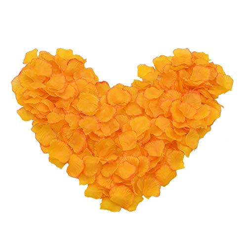 Orange Yellow Watanabe