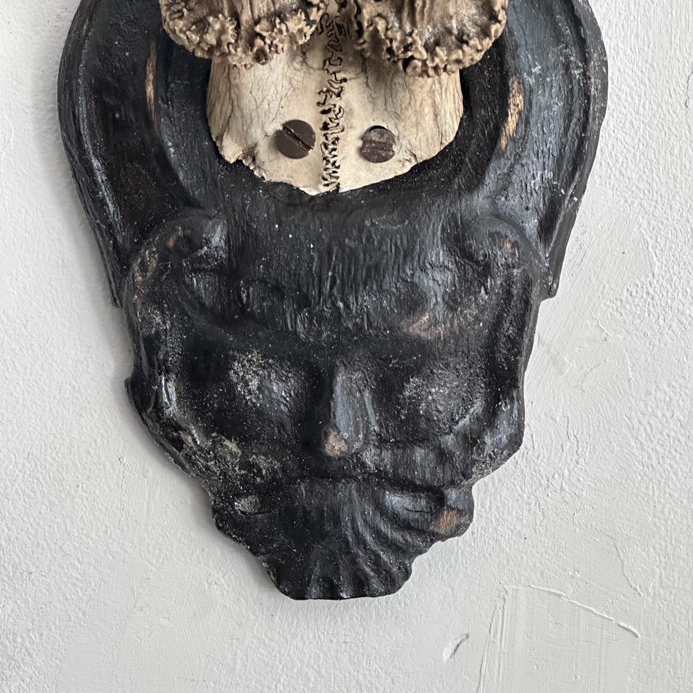 Black Forest Antlers on Carved Wood Plaque - Handcrafted Deer Antler Decor (#557) - Perfect for Cabin, Lodge, and Hunting Room Wall Decor
