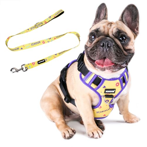 Multi Color Vest Harness with Leash