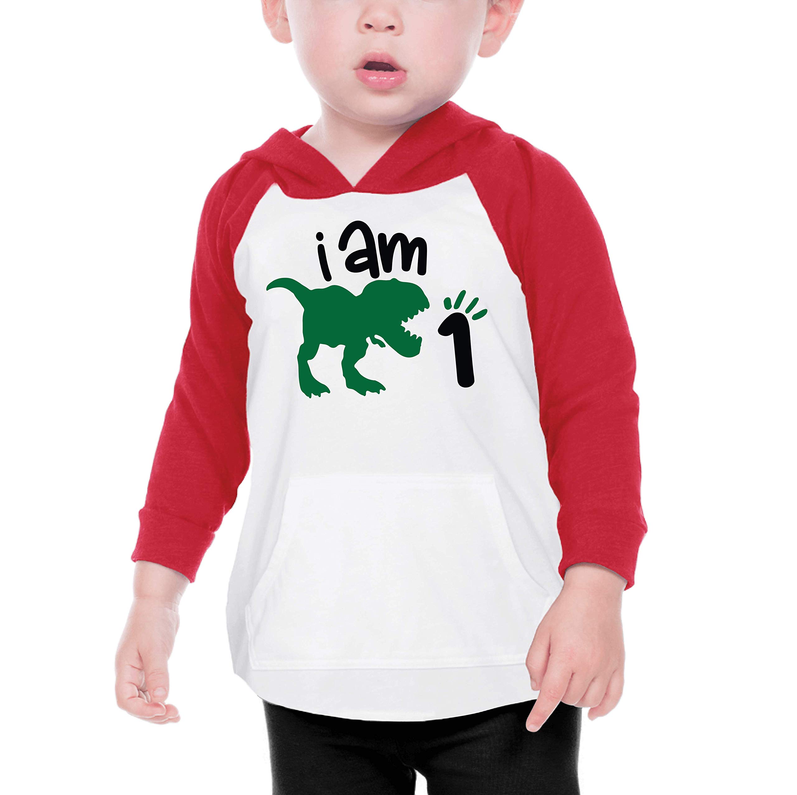 Dinosaur Birthday Shirt for Boys - Cute First Birthday Hoodie for Toddlers - Perfect for Birthday Parties, Photo Shoots & Special Occasions