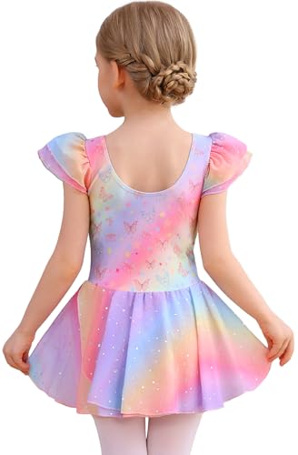 Rainbow Butterfly