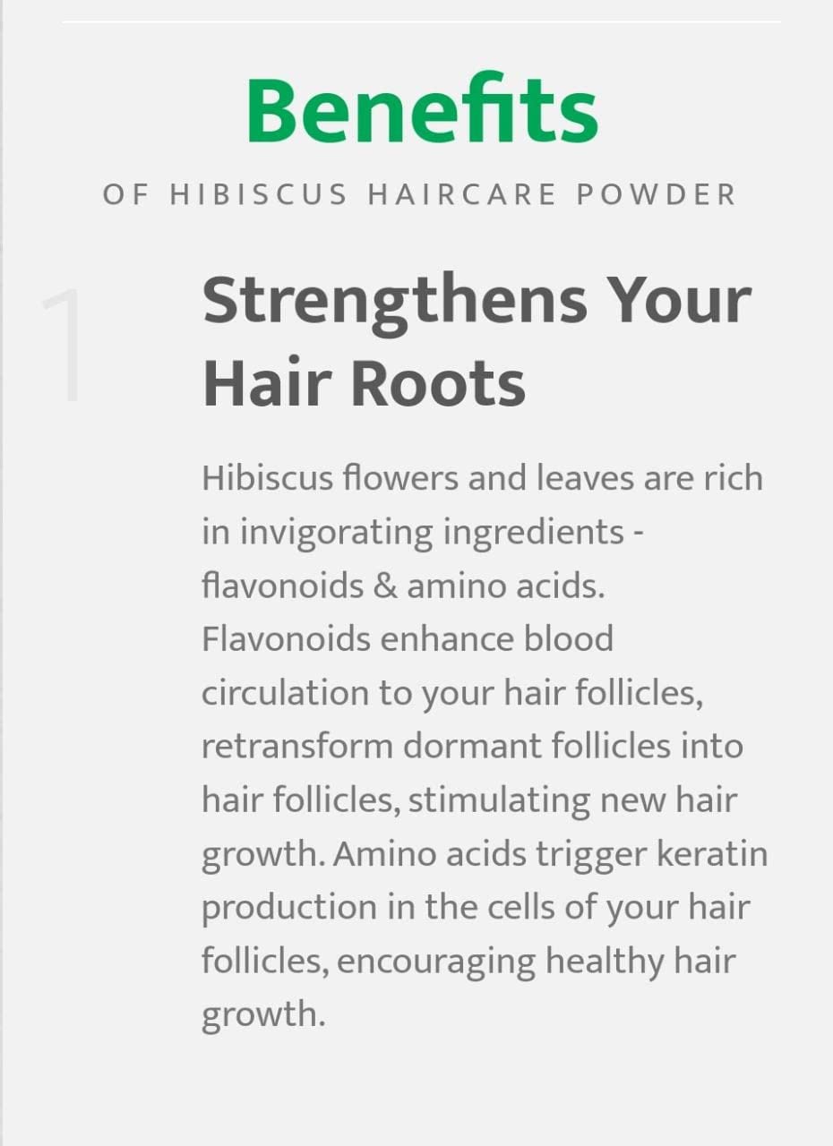 Organic Hibiscus Powder for Hair Growth & Scalp Care - 100g | Natural Ayurvedic Treatment for Dandruff & Hair Loss | DIY Hair Masks & Herbal Shampoo Boost - Parijata Herbs