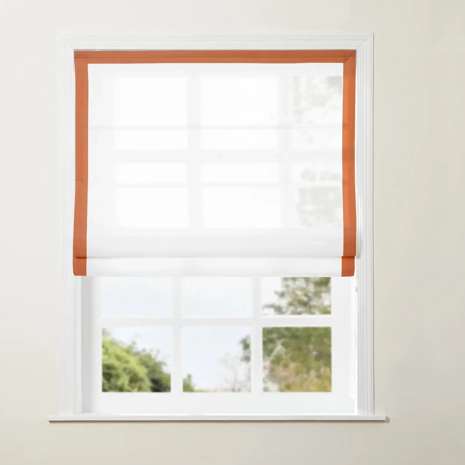 Orange Border Stripe
