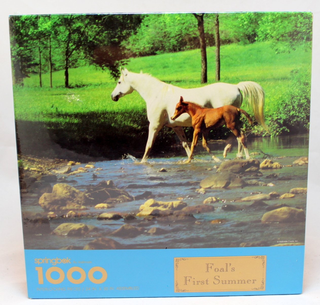 Ireland: The Emerald Isle 1500-Piece Jigsaw Puzzle by Springbok – Perfect for Adults, Family Game Night & Home Decor