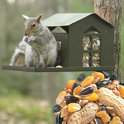 Durable Metal Squirrel Feeder with Bird Seed - Outdoor Wildlife Feeding Station for Garden, Yard & Backyard Bird Watching