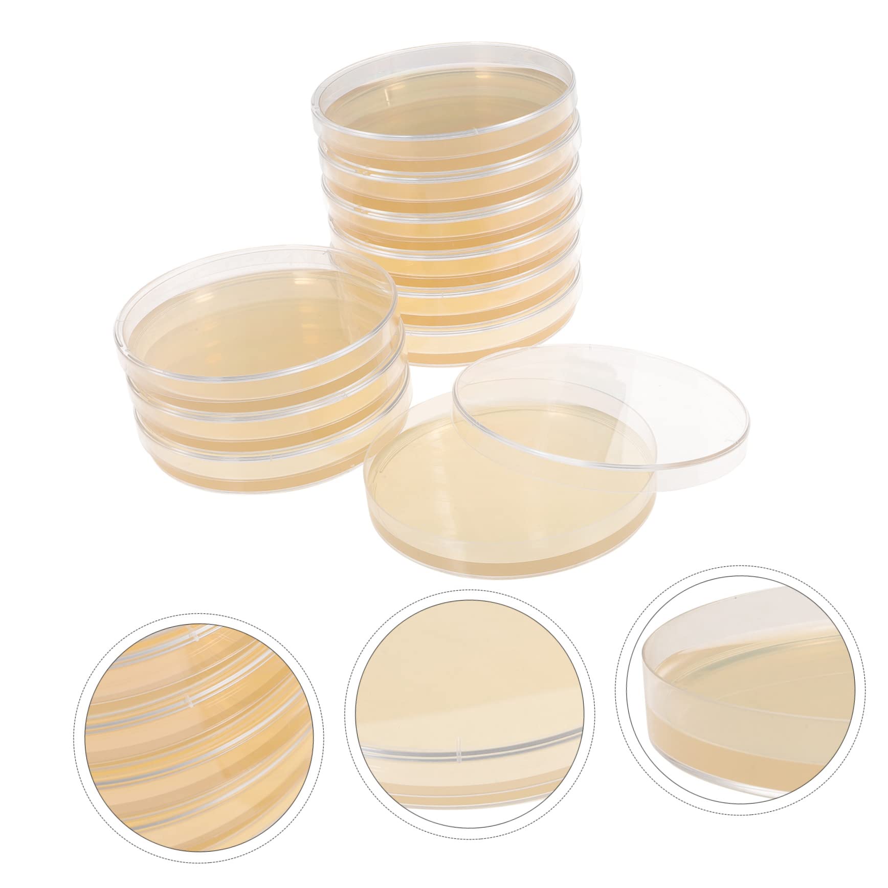 10pcs Nutrient Agar Petri Dishes - Borosilicate Glass Lab Plates for Microbiology Experiments | Perfect for Bacterial Cultures, Science Classrooms & DIY Biology Projects