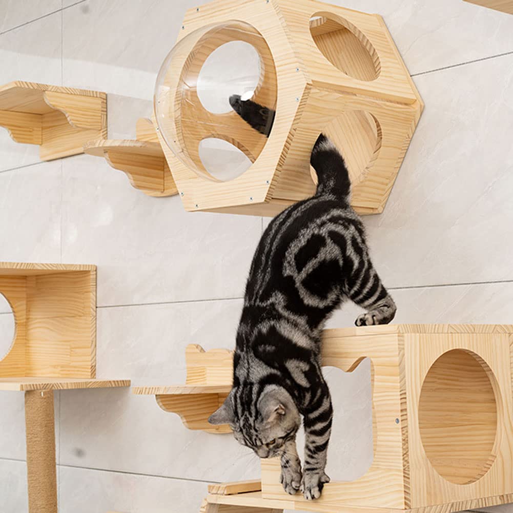 17-Piece Wall-Mounted Wooden Cat Climbing Set with 2 Space Capsule Beds, 3 Condos, 8 Shelves, 2 Bridges & Sisal Scratching Posts - Multi-Level Cat Activity Furniture for Indoor Play & Exercise