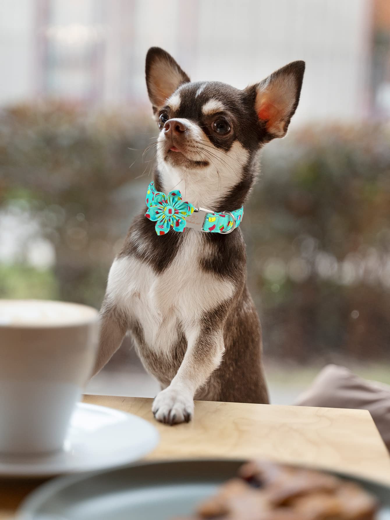 4th of July Dog Bow Tie Collar - Patriotic American Flag Pet Accessory with Metal Buckle for Small, Medium & Large Dogs - Red White Blue Adjustable Necktie for Independence Day, Memorial Day, Veterans Day - Perfect for Festive Parties, Parades & Photo Shoots (Popsicle Green Flower Design)