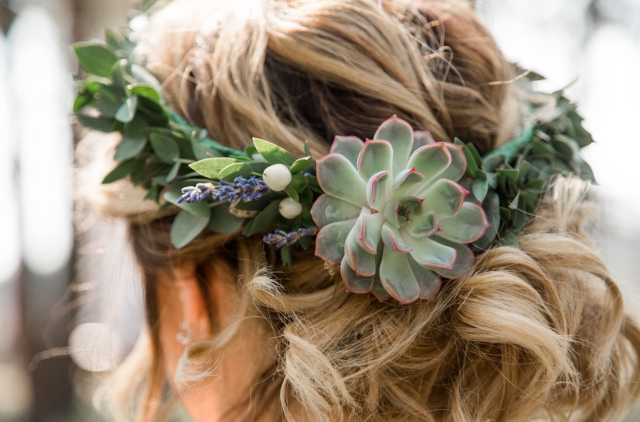 Shop Succulents | Live Succulent Plants Collection - 12 Hand-Picked Mini Succulents with Radiant Rosettes | Perfect for Home Decor, Office Desk & Gift Giving