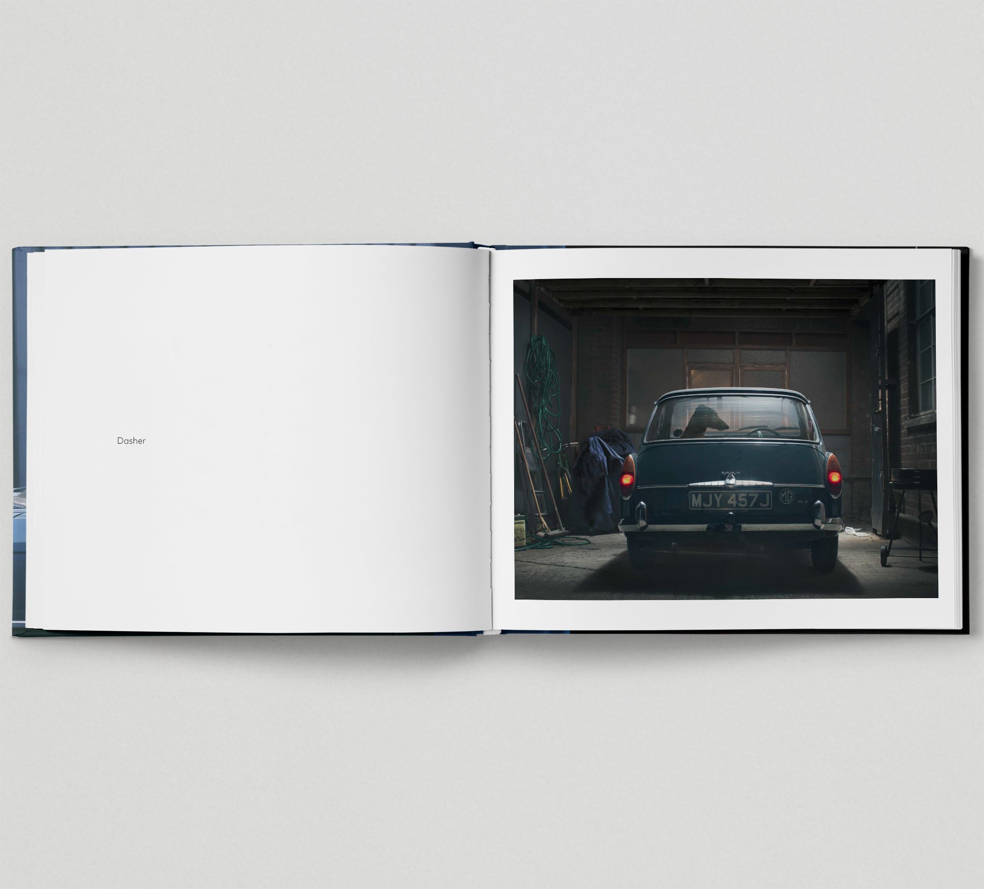 The Silence of Dogs in Cars - Thought-Provoking Photography Book for Dog Lovers, Perfect for Coffee Table Decor and Gift Ideas