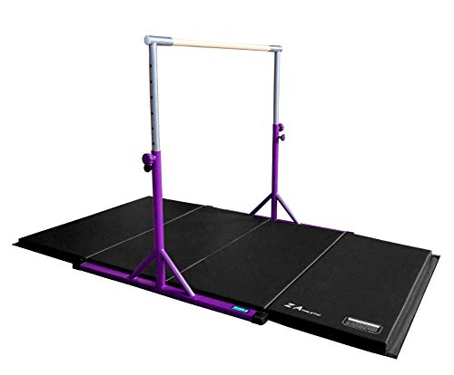 Purple and Black