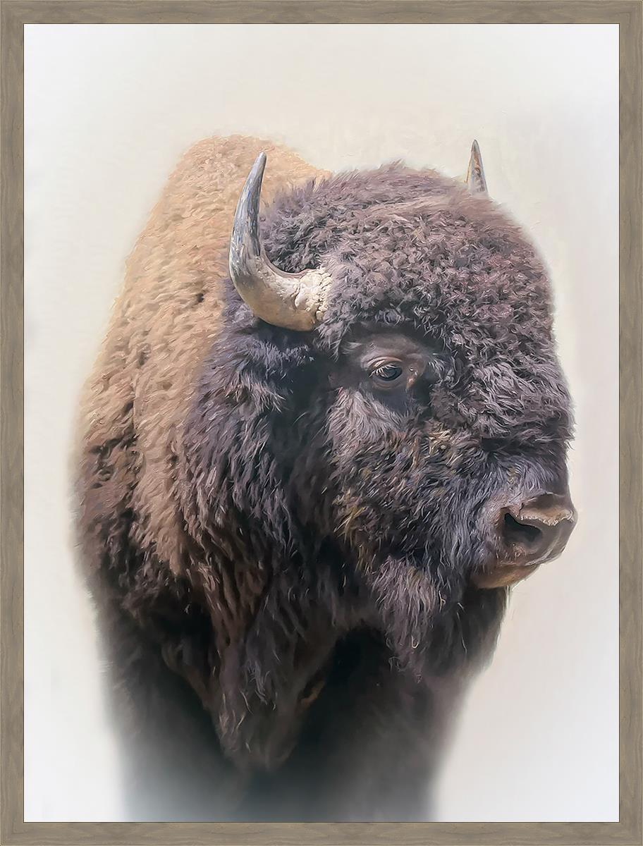Bison Large Wall Art - Stunning Bison Canvas Print for Home & Office Decor | Perfect for Living Room, Bedroom, or Cabin Wall Decor