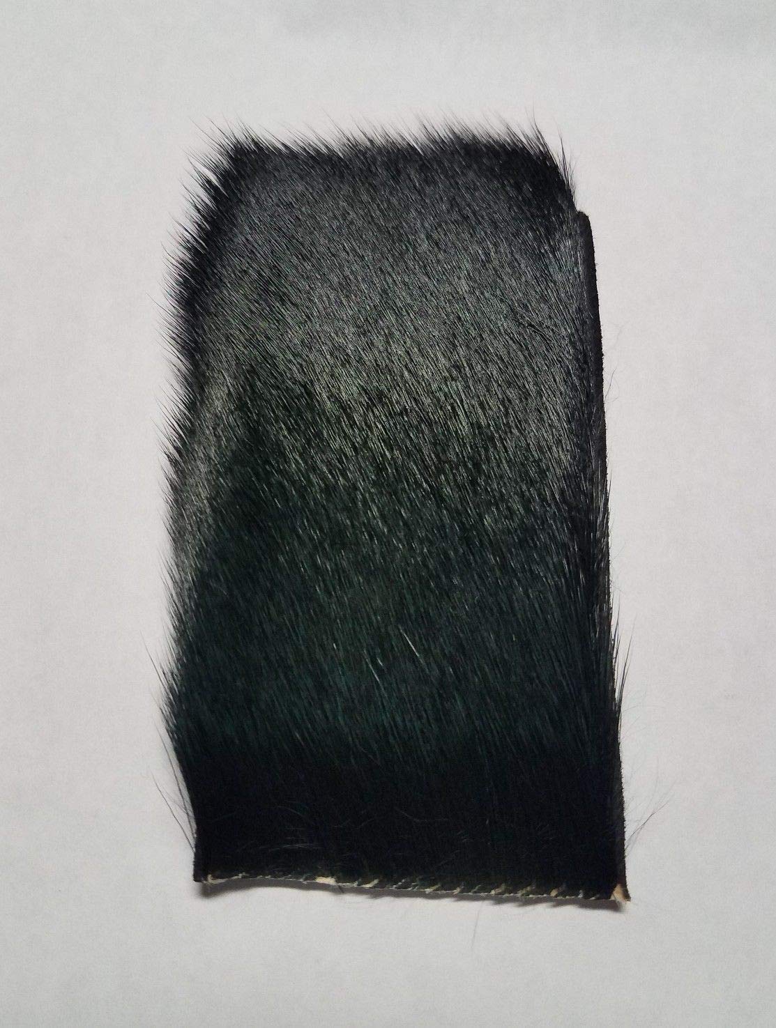 Premium Hareline Coastal Blacktail Deer Body Hair for Fly Tying - Natural Fishing Fly Material for Trout, Salmon & Bass - Perfect for Streamers, Nymphs & Dry Flies