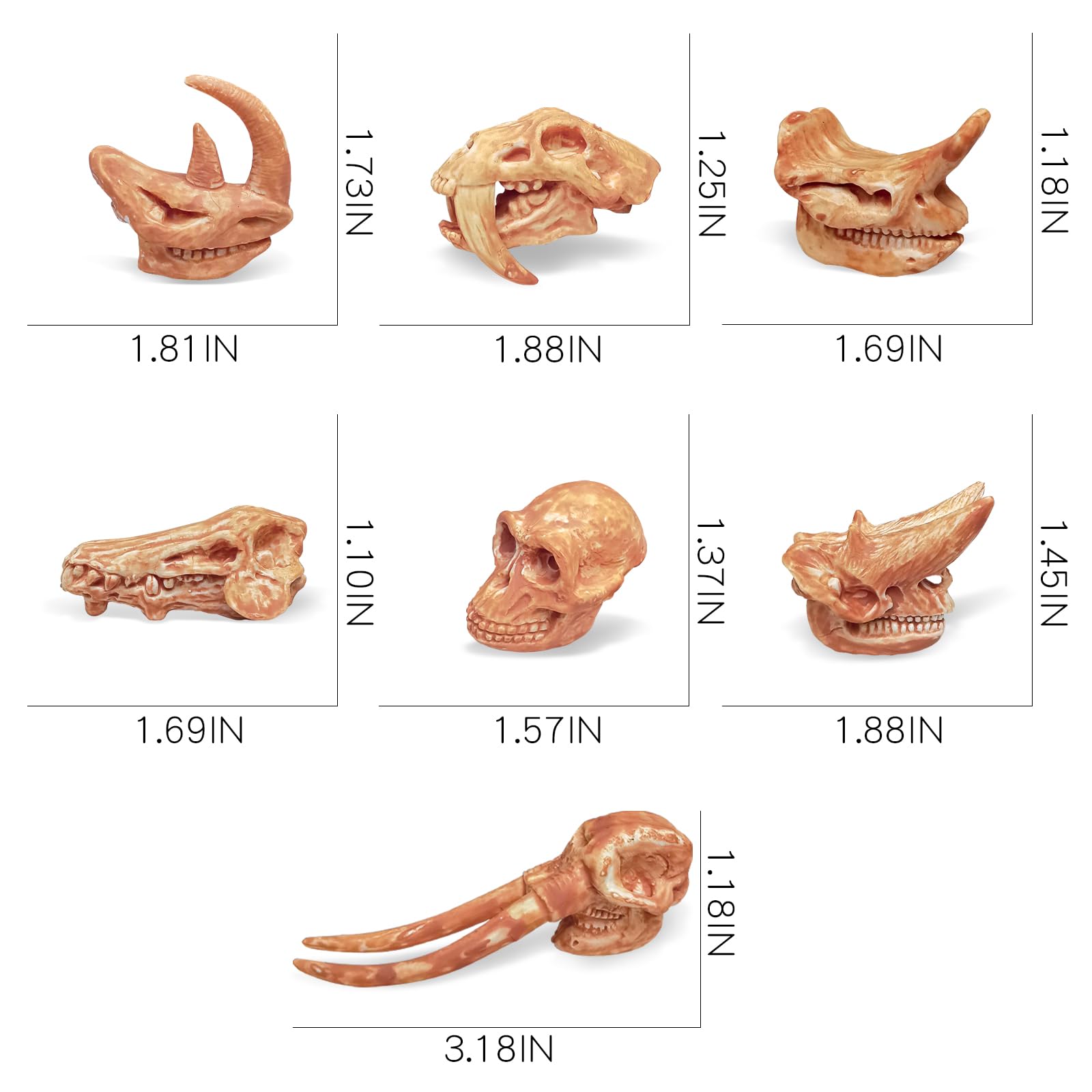 LC JoyCre Realistic Mini Prehistoric Animal Bones Set - Dinosaur Fossil Dig Kit for Kids, STEM Educational Sandbox Toys for Paleontology Learning | Perfect for Birthday Gifts, Classroom Activities & Science Projects