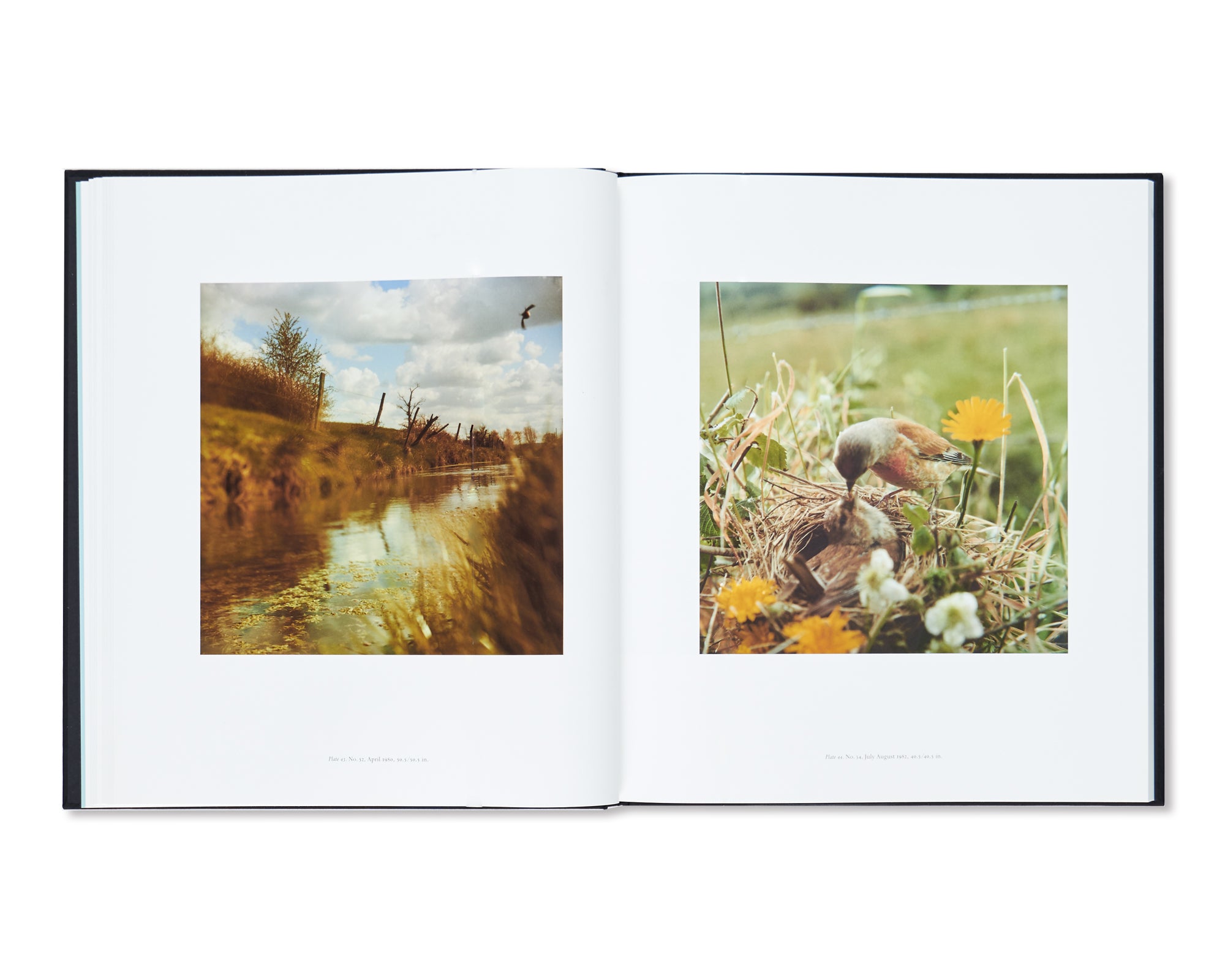 JEAN LUC MYLAYNE Fine Art Photography Prints - Limited Edition Wall Decor for Home & Office - Perfect for Art Collectors & Interior Design Enthusiasts