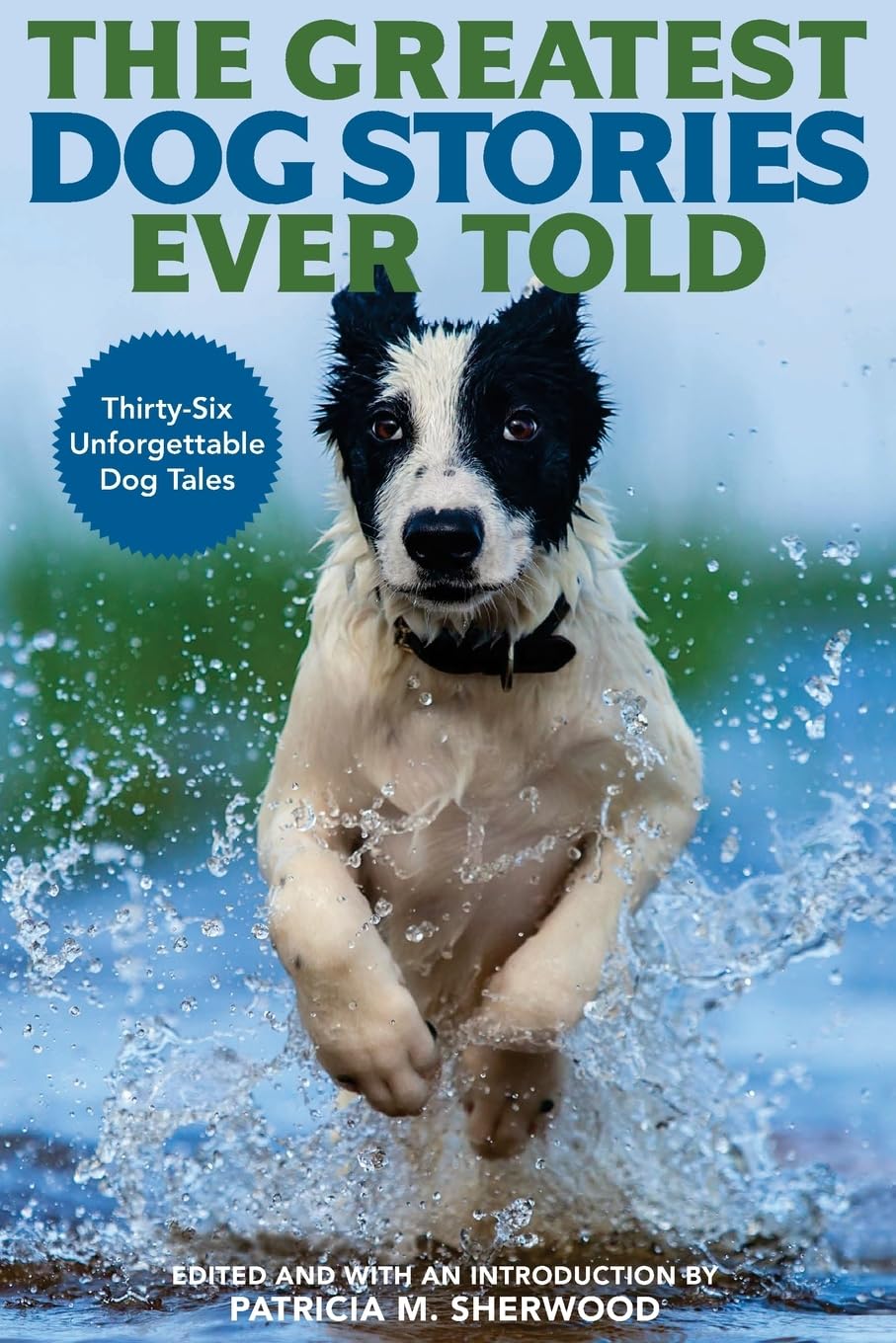 Best Heartwarming Dog Stories Book - Inspiring True Tales of Canine Love & Loyalty for Dog Lovers | Perfect for Bedtime Reading & Gift Giving