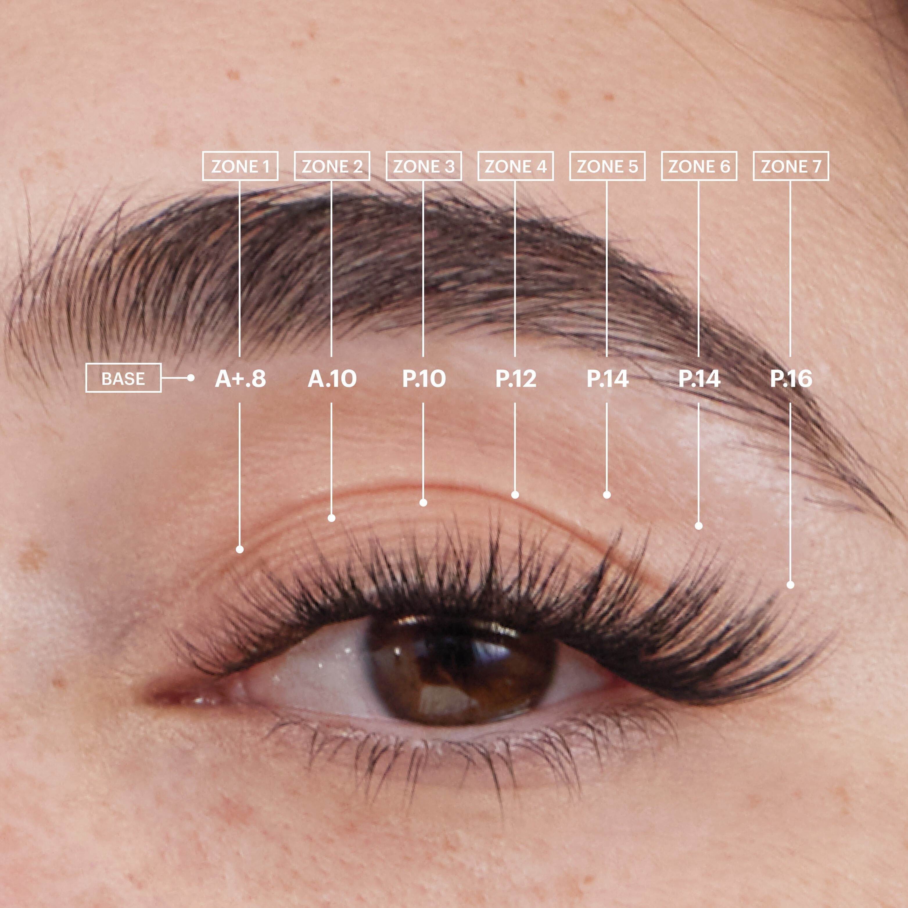 The Cat Eye Gossamer® Bundle - Soft & Lightweight Cat Eye Contacts for a Natural Look - Perfect for Halloween, Cosplay & Special Events