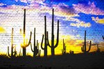 Cactus in the Sunrise