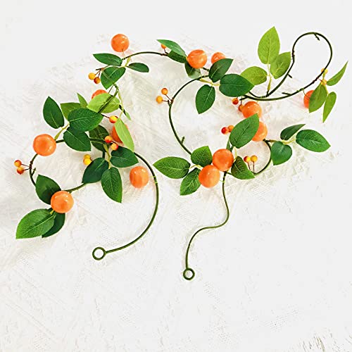 Tangerine Vine