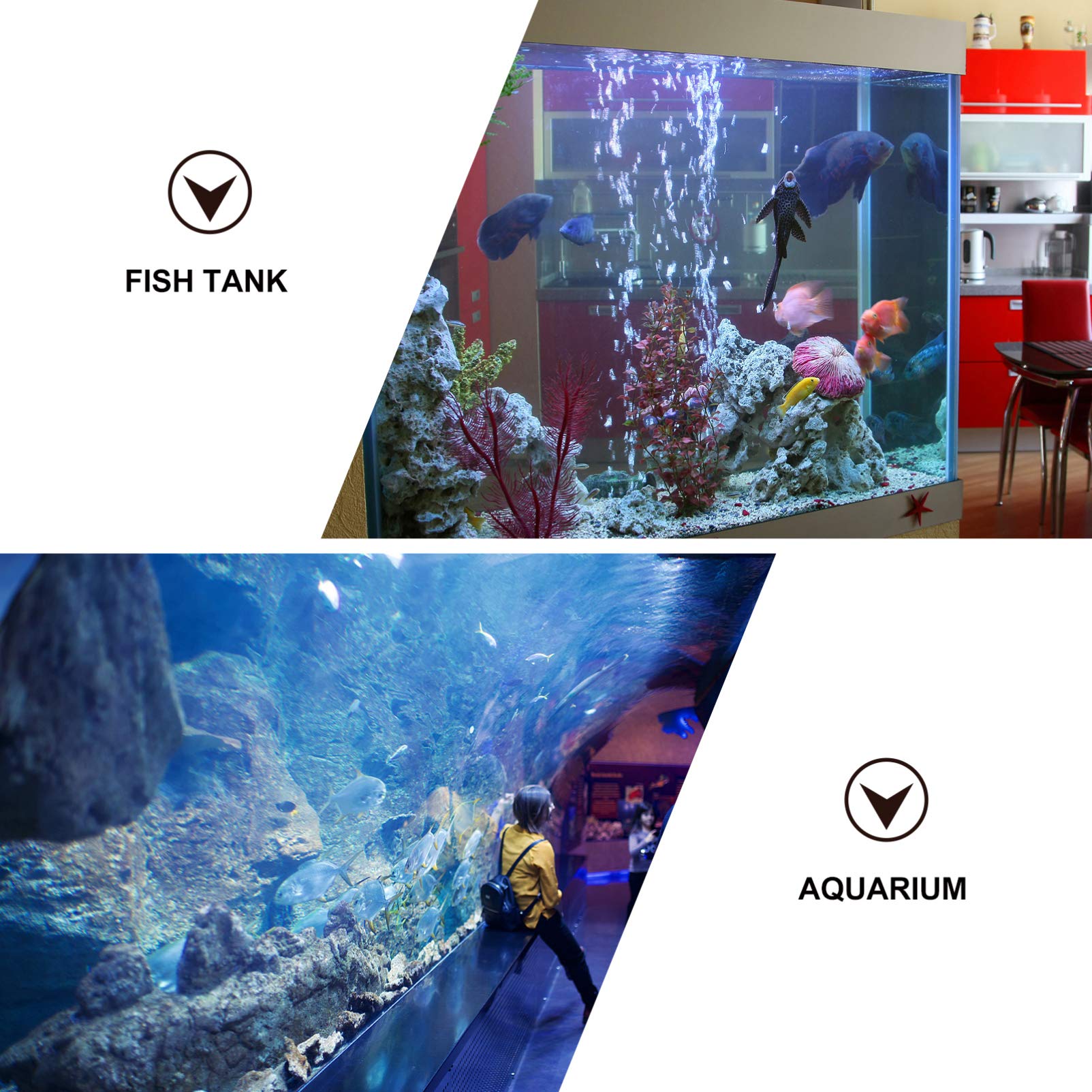 Balacoo 3pcs Aquarium Tools Kit for Aquatic Plants & Aquascaping - Perfect for Water Plants Care