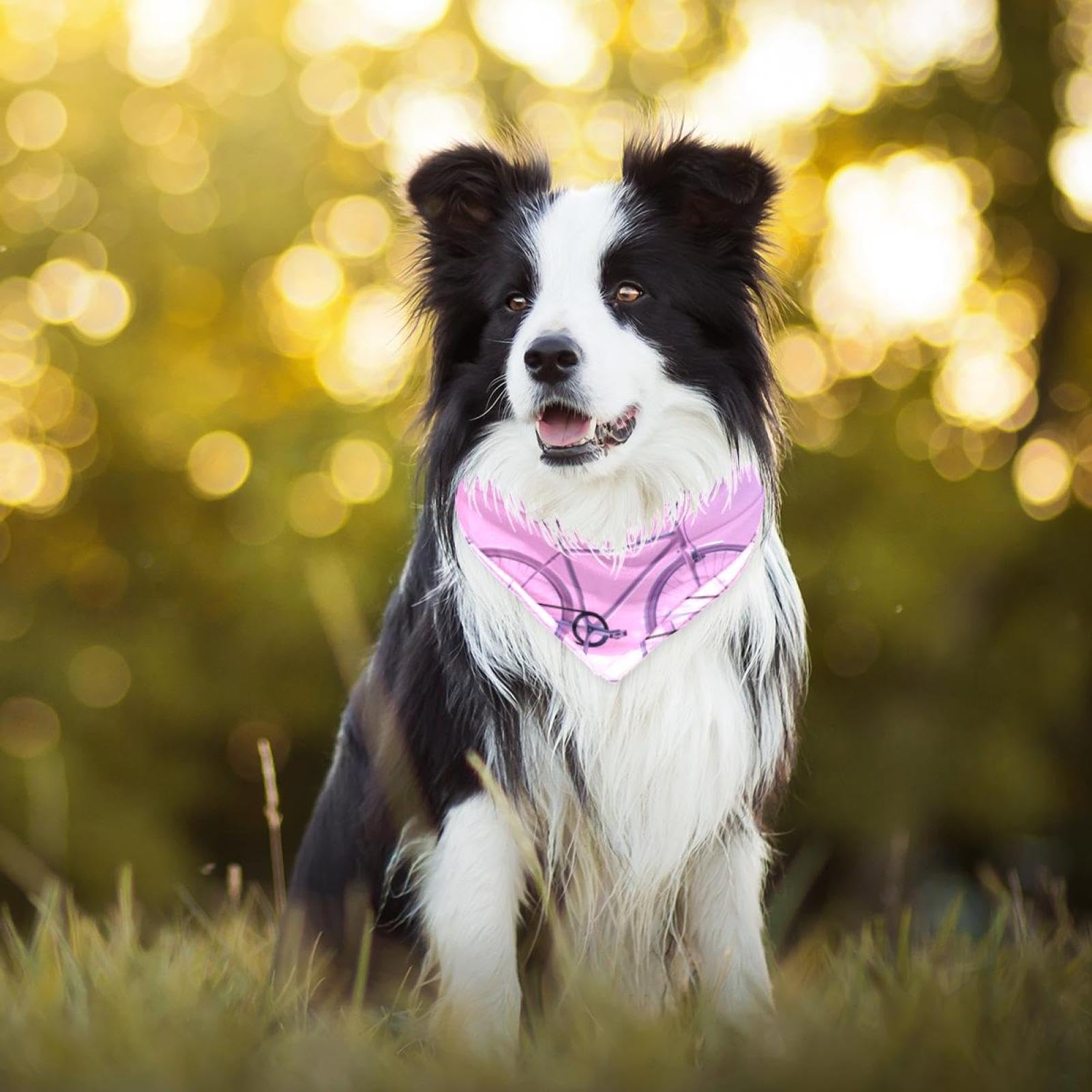 Dog Bandanas for Small & Large Dogs - 2-Piece Set with Bike Pink Pattern - Adjustable Pet Scarf & Bandana for Dogs - Perfect for Outdoor Adventures, Pet Parties & Daily Walks
