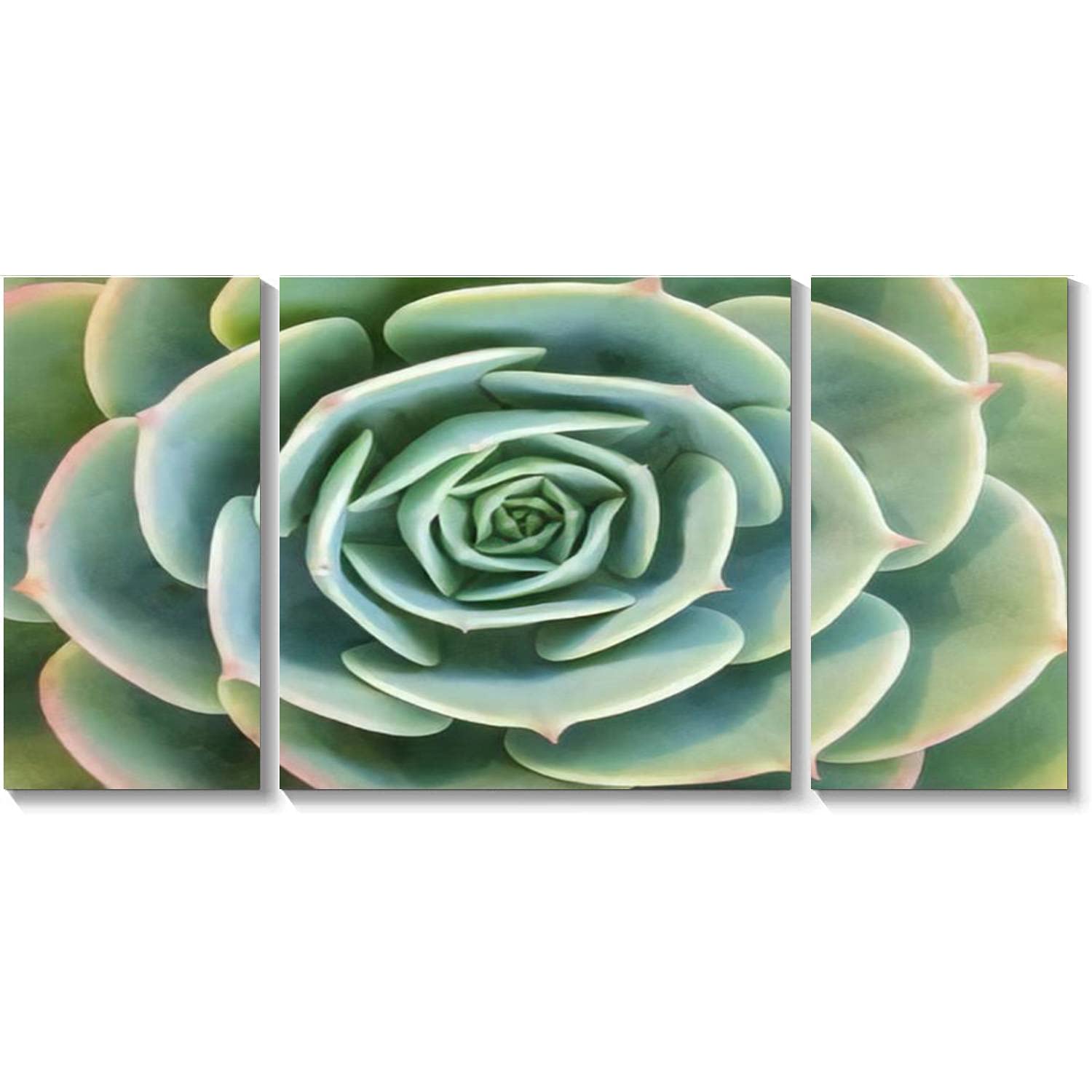 Barpapier 3-Panel Canvas Wall Art - Natural Cactus & Succulent Plant Sempervivum HD Print - Stretched Framed Painting for Living Room & Office Decor - Ready to Hang Wall Mural for Home & Workspace