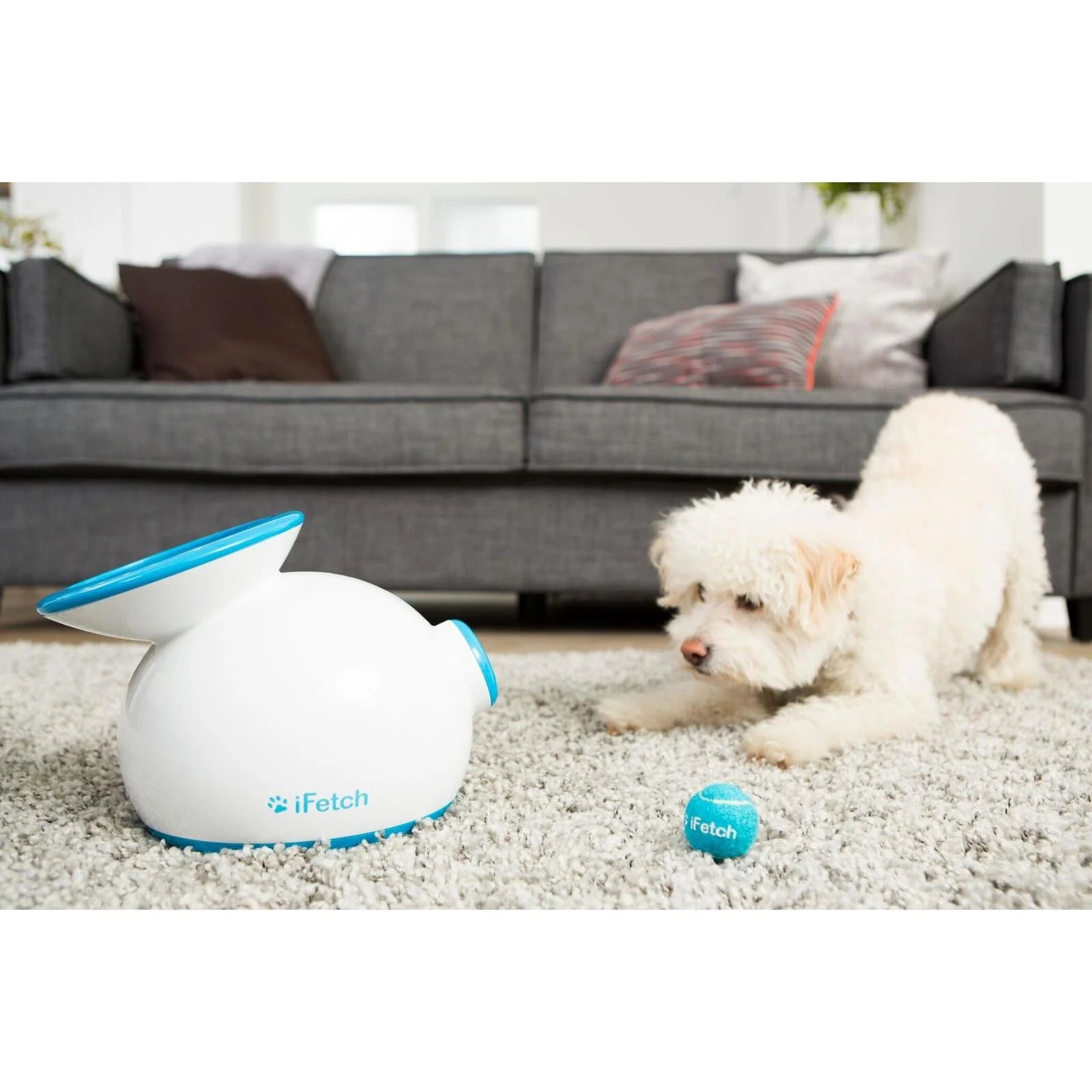 iFetch Original Automatic Ball Launcher for Dogs - Interactive Fetch Toy for Indoor/Outdoor Play, Training & Exercise - Perfect for Small to Medium Dogs