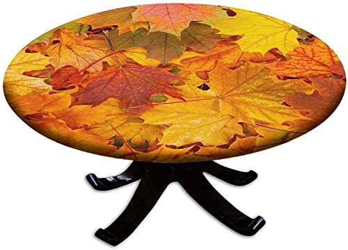 Fall Maple Leaf -2