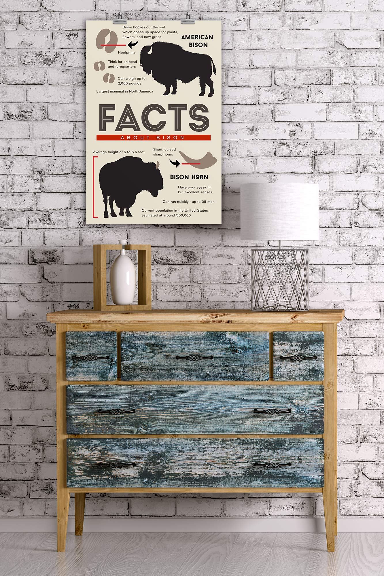 Bison Facts Giclee Gallery Print - 16x24 Wall Art Decor, Wildlife Travel Poster for Home & Office | Perfect for Nature Lovers & Western Theme Decor