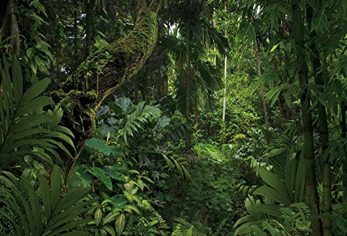 8x6ft Jungle Forest Photography Backdrop - Premium Outdoor Camping Theme Party Background, Mysterious Rainforest Scenery for Kids & Adults - Perfect for Wedding, Studio Props, Birthday Parties & Nature-Themed Events