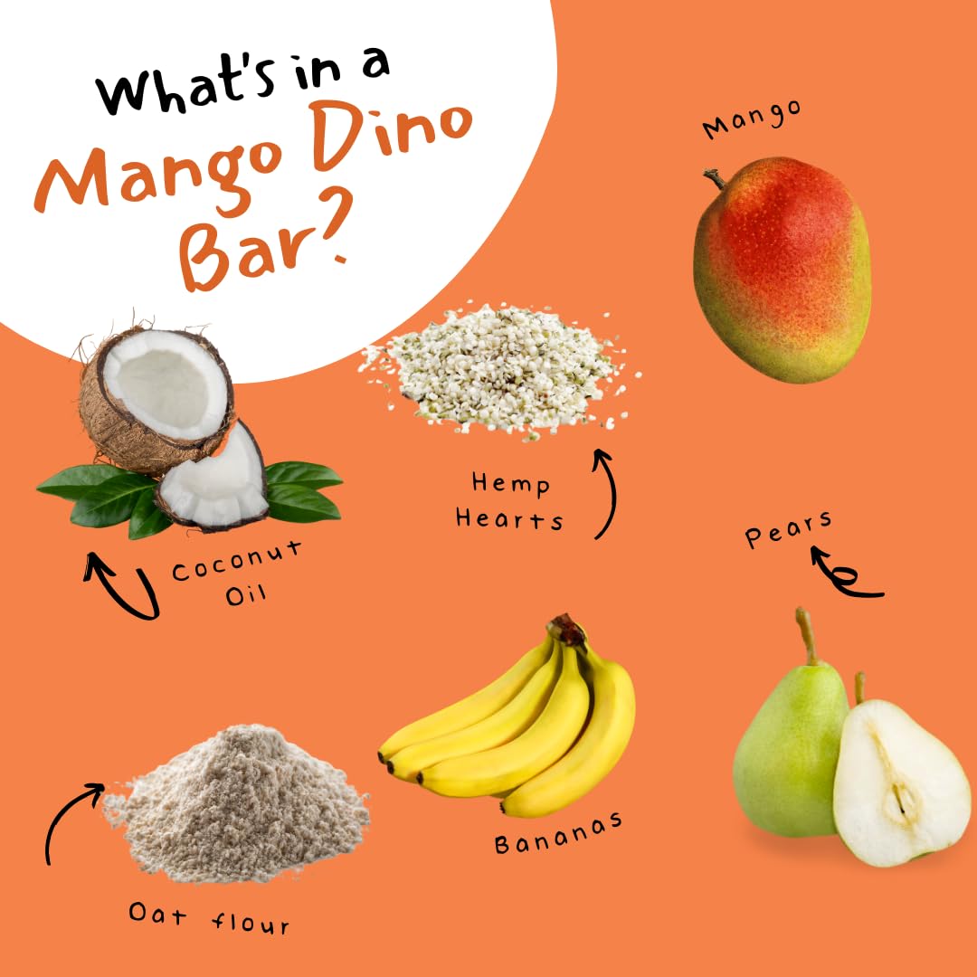 Organic Dino Bars for Kids - Healthy Dinosaur Snacks with Fruit, Oats, Hemp Hearts & Coconut Oil | Blueberry, Strawberry & Mango Flavored Toddler Bars | Edible Paper Wrapped | Variety 9 Pack for Ages 1+ | Perfect for School Lunches, Road Trips & On-the-Go Snacking