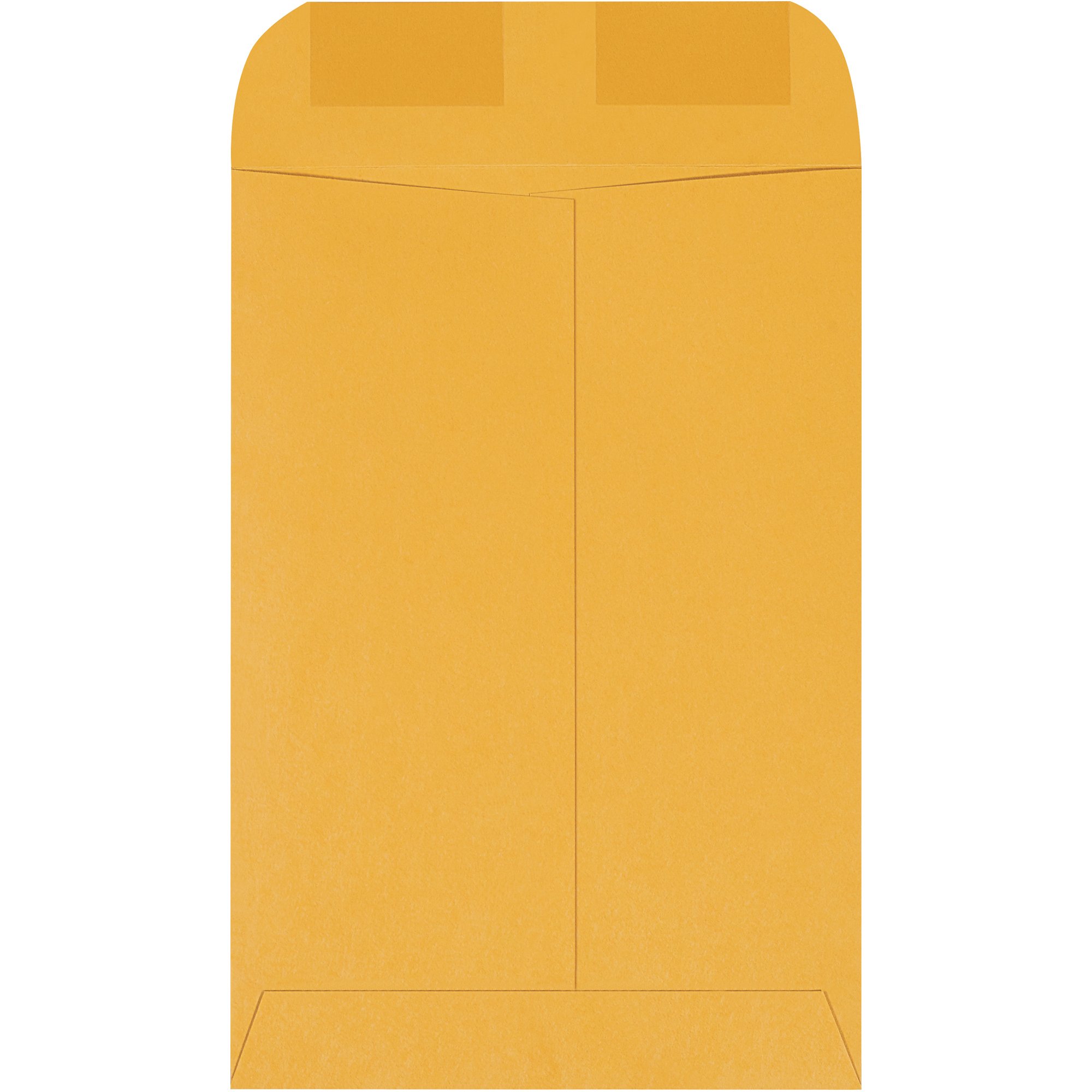 Aviditi Kraft Paper Envelopes 6.5