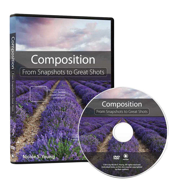 Best DVD Guide: Composition - From Snapshots to Great Shots | Photography Tutorial for Beginners & Professionals | Perfect for Home Learning & Studio Practice