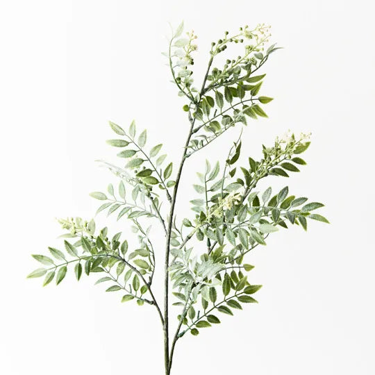 Wattle Leaf Spray Cream - Natural Skin Moisturizer for Dry & Sensitive Skin | Perfect for Daily Hydration & Soothing Irritation