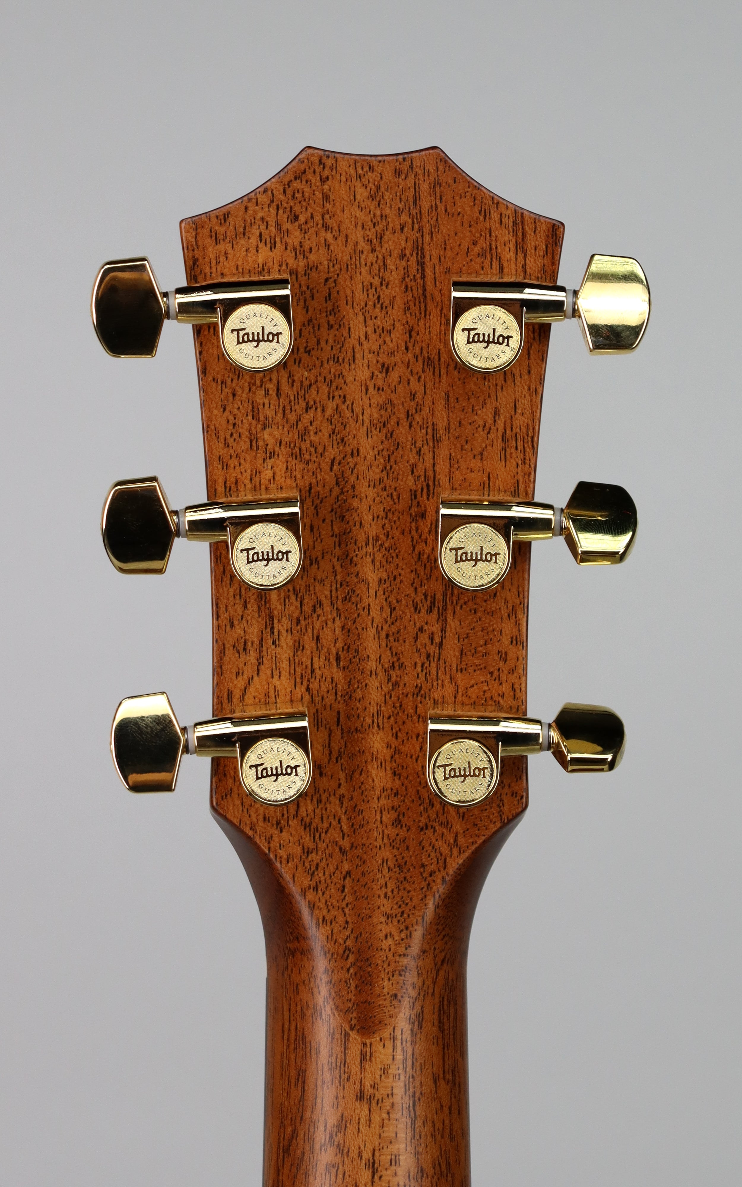 Taylor Legacy 514ce Limited Signed Edition Acoustic Guitar - Handcrafted Premium Tonewood for Professional Musicians & Collectors | Perfect for Live Performances, Studio Recording & Gift Giving