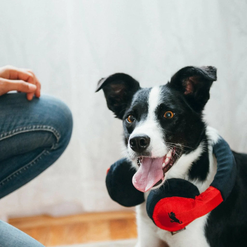Dog Headphones Toy for Pets - Red/Black Cute & Safe Chewable Headset for Small & Medium Dogs - Perfect for Playtime, Training & Photo Shoots