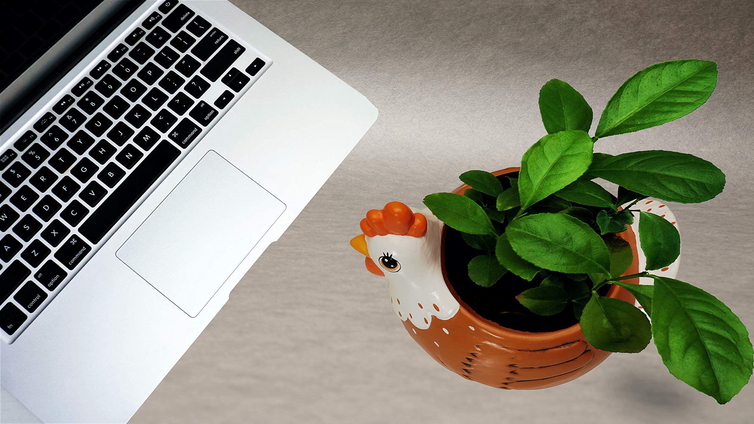 Ceramic Chicken Planter - Rooster Utensil Holder & Succulent Flower Pot for Indoor Outdoor Garden, Backyard, Patio Decor - Perfect for Farmhouse, Country, and Chicken Theme Party Accessories