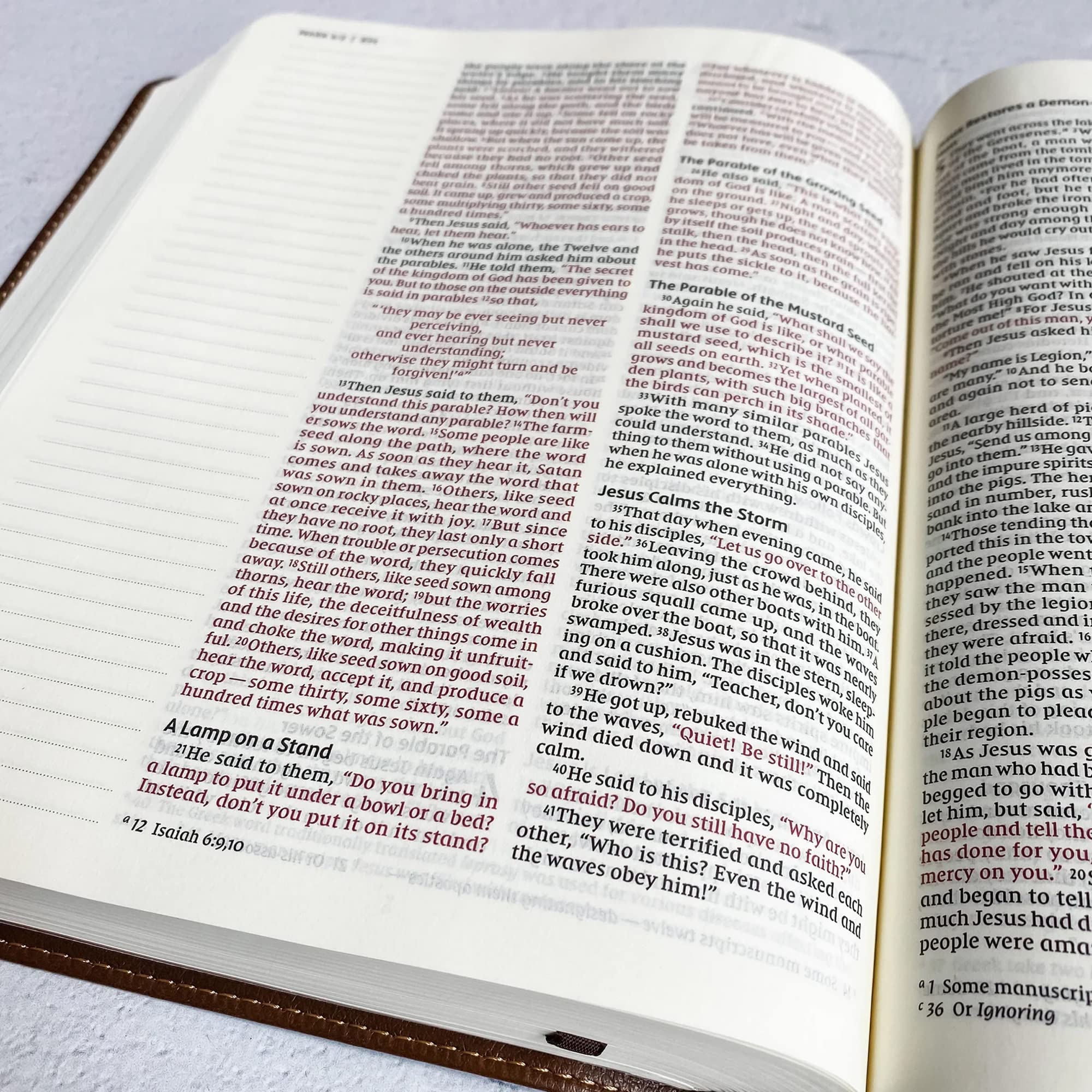 Hand Illustrated & Laser Engraved NIV Journaling Bible - Personalized Christian Gift with Custom Name Engraving | Perfect for Bible Study, Prayer Journaling & Spiritual Gifts