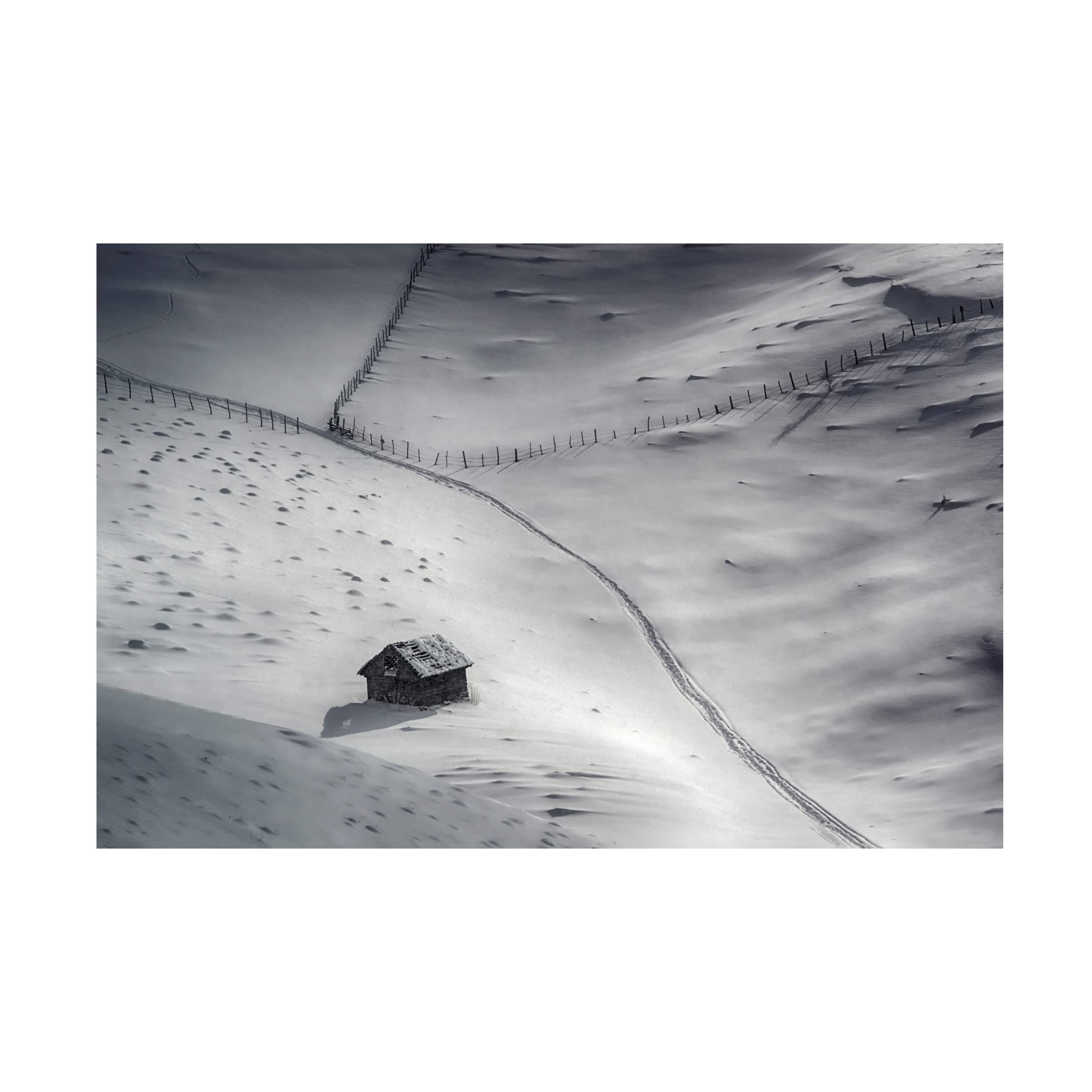 Trademark Fine Art 'Winter Light 2' Canvas Wall Art Print by Mihail Dulu - Perfect for Living Room, Bedroom & Office Decor