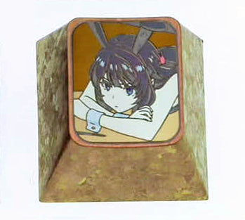 Custom 1U Titanium Alloy Keycaps - Hand-Carved Anime Art Design (Matsuzaka Satou & Akurajima Mai) - Durable Metal Decorative Keycaps for Mechanical Keyboards - Perfect for Gaming, Typing & Collectors