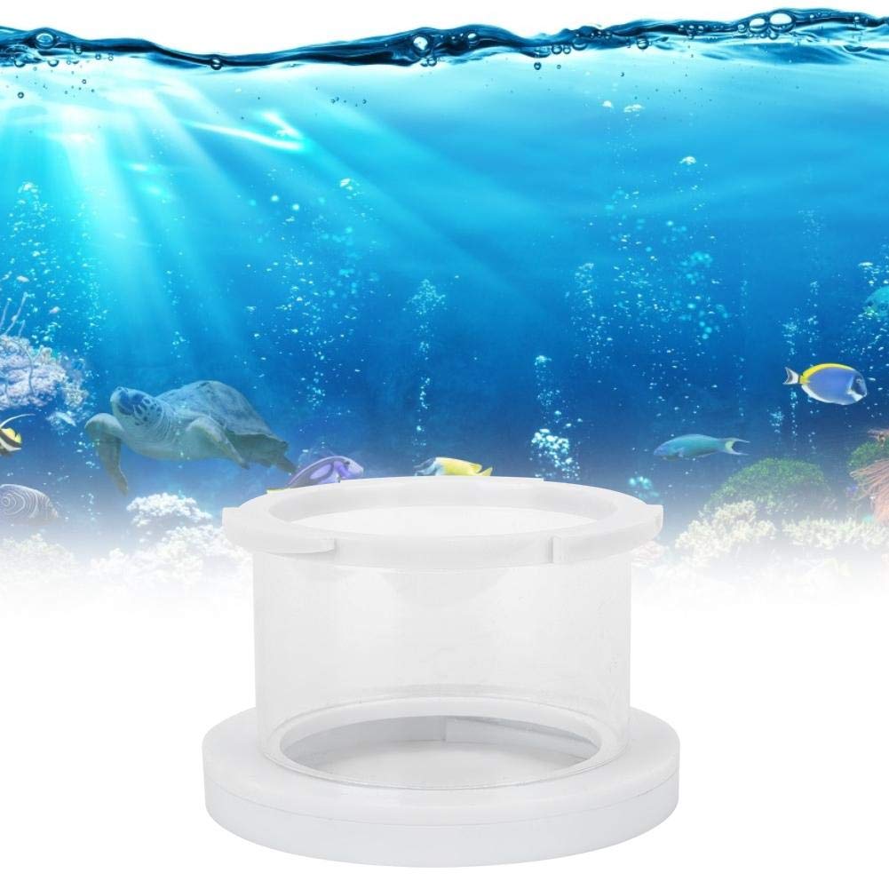 Premium Protein Skimmer Accessories - Durable Plastic Protein Separator Parts & Fish Tank Heightening Kit for Saltwater Aquariums & Reef Tanks - Enhance Water Clarity & Marine Life Health