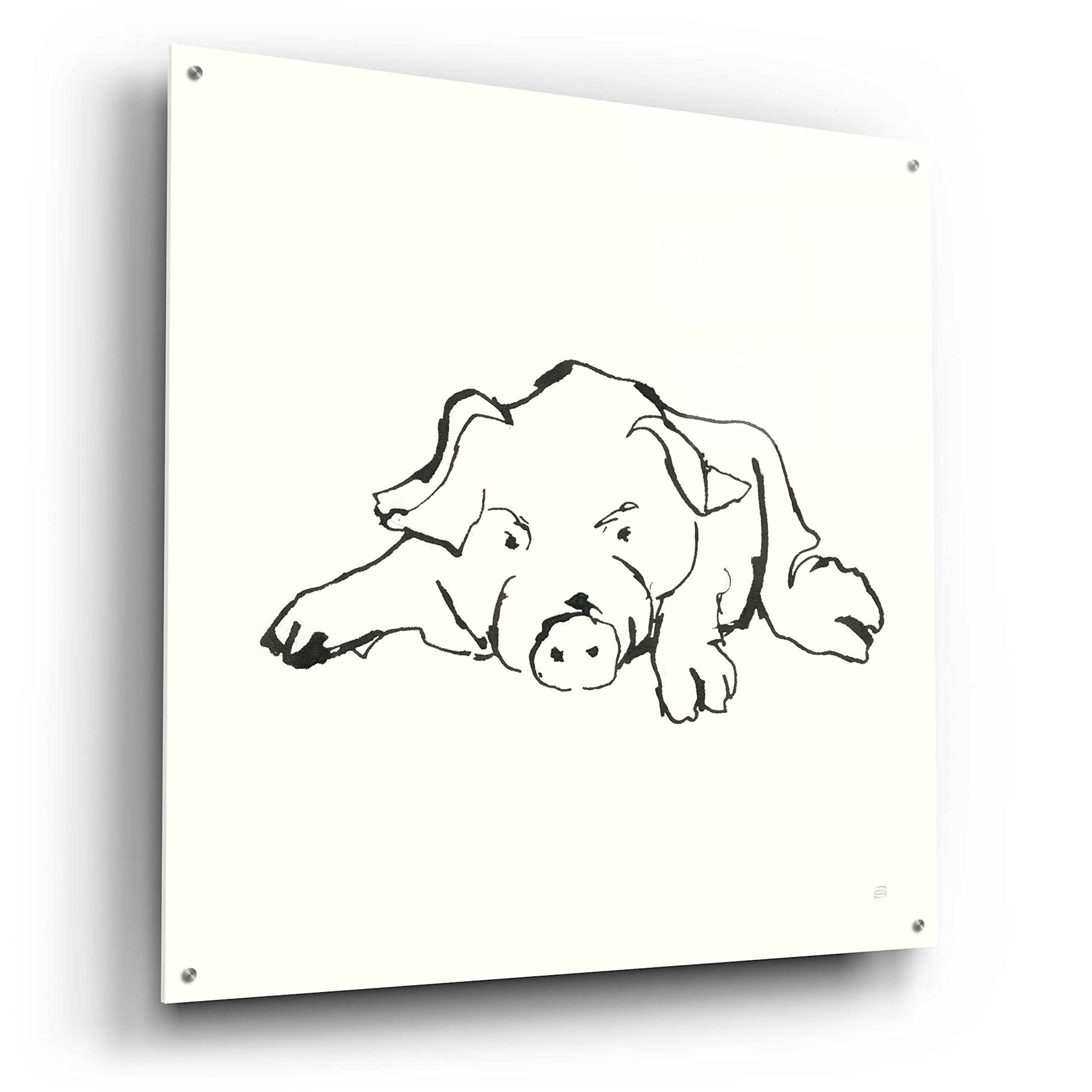 Chris Paschke 'Line Pig I' Acrylic Glass Wall Art - 36x36 Inch Modern Abstract Painting for Living Room, Bedroom & Office Decor