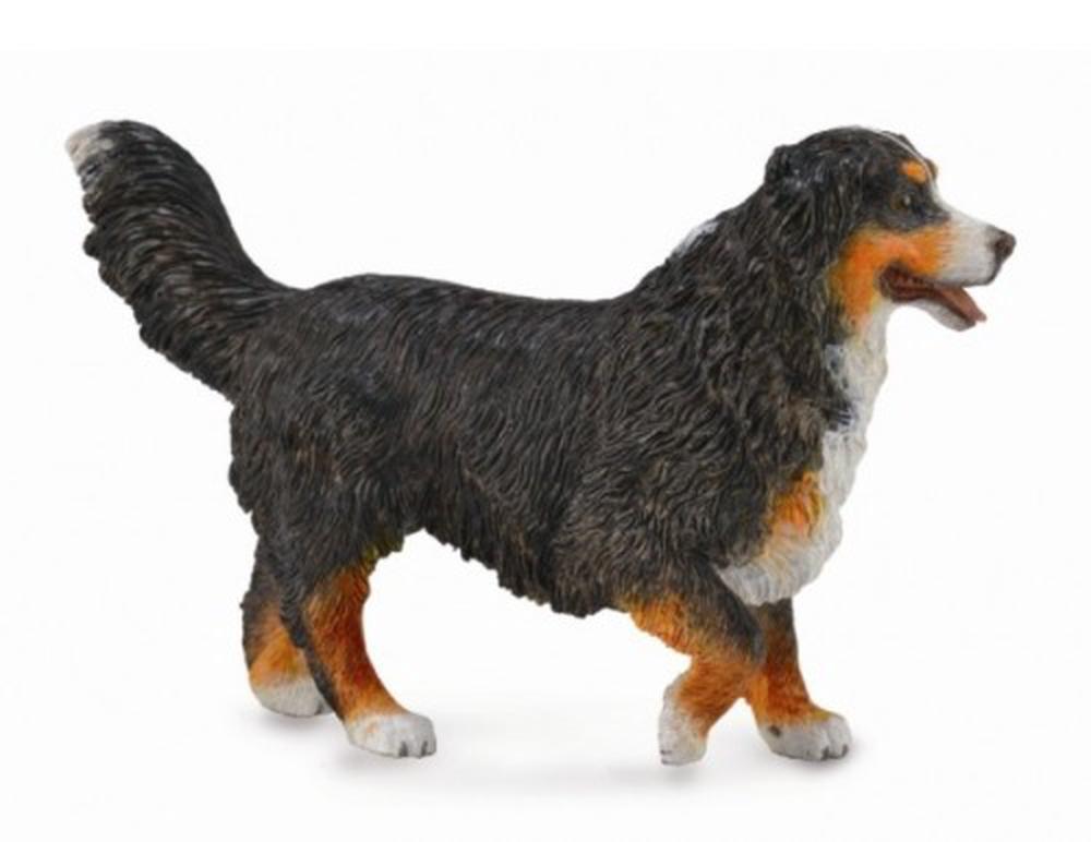CollectA Bernese Mountain Dog Figurine - Realistic Hand-Painted Toy Dog Model for Kids & Collectors - Perfect for Playtime, Display & Gifts